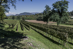 Franciacorta - Brescia