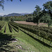 Franciacorta - Brescia