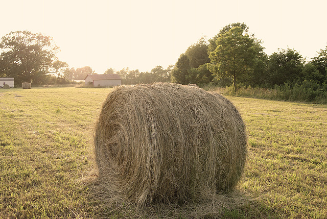 Making Hay While The Sun Shines