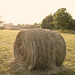 Making Hay While The Sun Shines