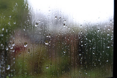 it rained it rained
