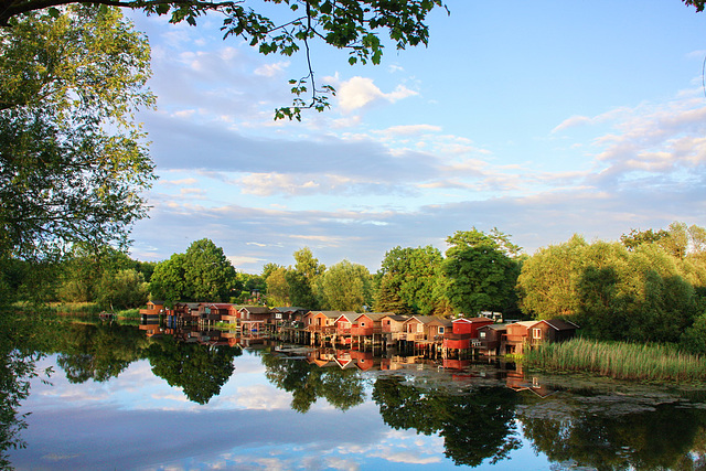 Sommer am Krebssee