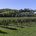Franciacorta - Brescia