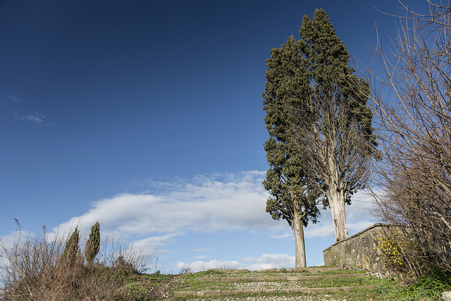 Franciacorta - Brescia