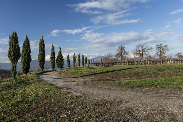 Franciacorta - Brescia