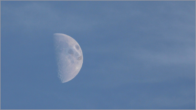 Halloween's moon