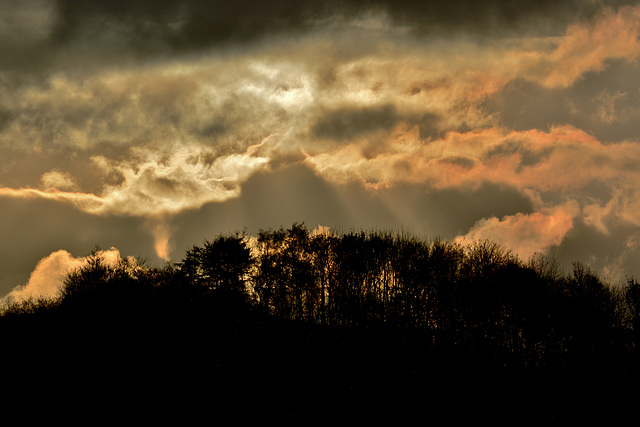 Late afternoon light