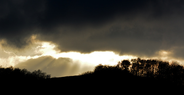 Late afternoon light