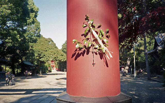 On the path to the shrine