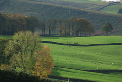 Moorfield view to Lower Worm Stones