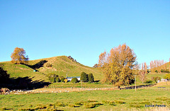 Rural View