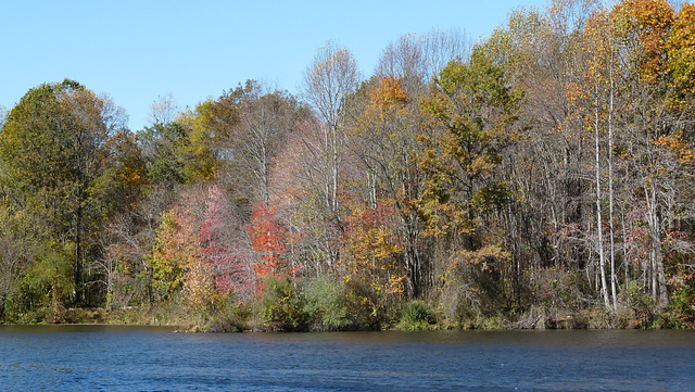 Centennial Park