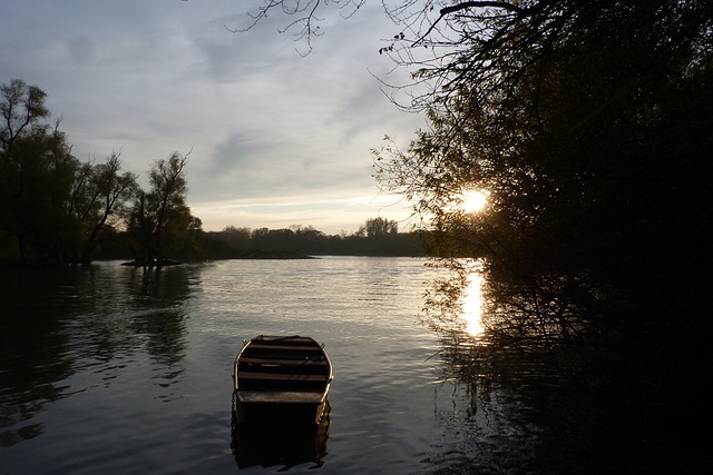 Novembertag am Rhein