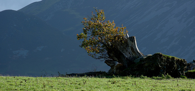 Autumn in Cumbria