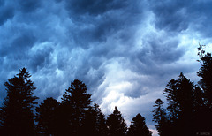 Cumulus mammatus - Mammatus Clouds