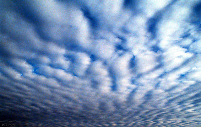 Altocumulus floccus clouds