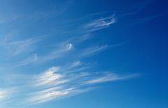 Cirrus uncinus