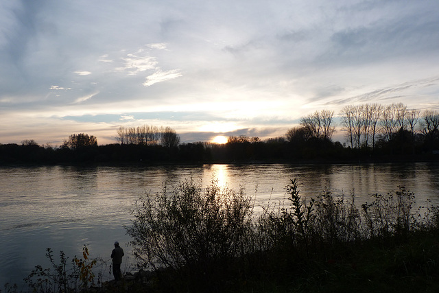 Novembertag am Rhein