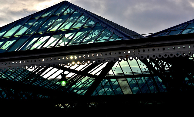 Roof,Tynemouth Station