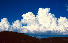 Cumulus congestus