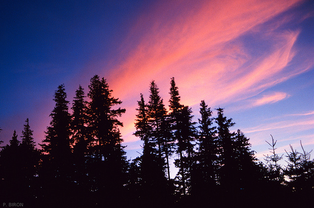 Cirrus au coucher du soleil