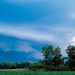 Dans le Ried de Hoerdt avant l'orage