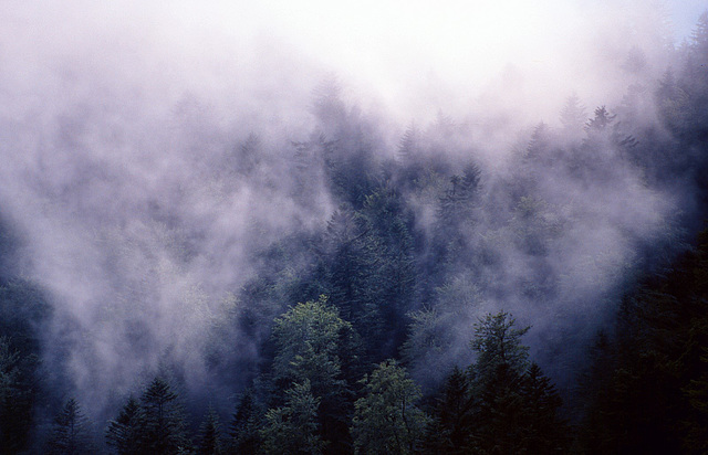 Stratus fractus au dessus du Lac des Corbeaux