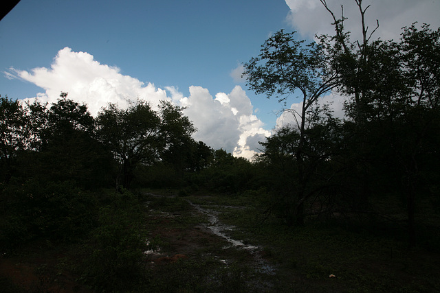 Wetland in Sri Lanka