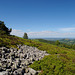 Shropshire Landscape.