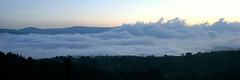 Morning from the window, Rousillon