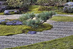 The Zen Garden – Japanese Tea Garden, Golden Gate Park, San Francisco, California