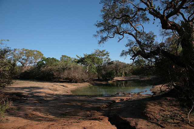 Yala National Park scenery