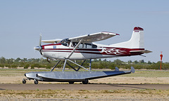 Cessna 185 N1646Z