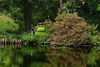 L'entre deux le long du Loir