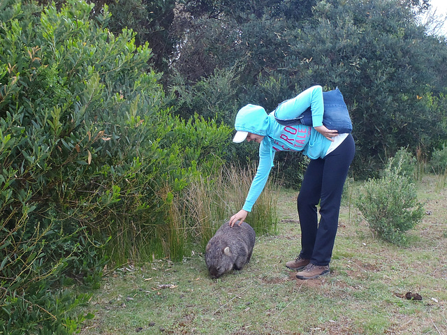 Fran meets a wombat...