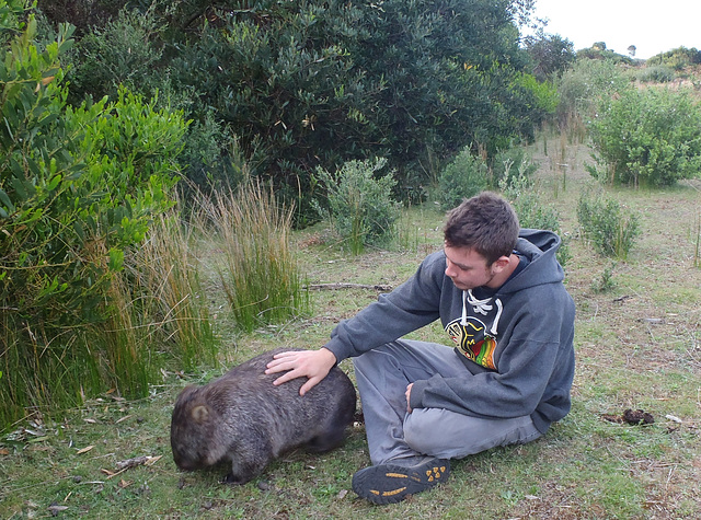 Derek meets a wombat...