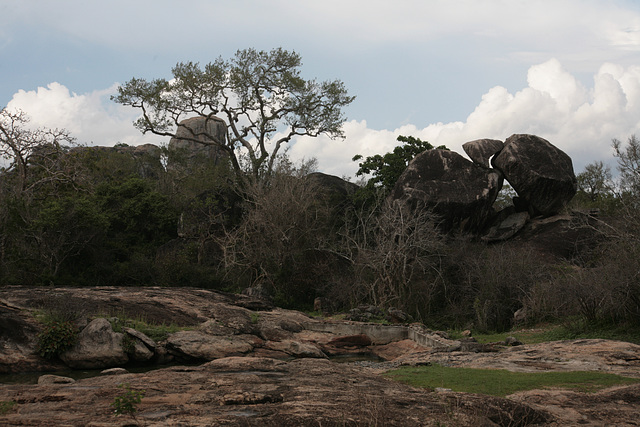 Yala National Park scenery