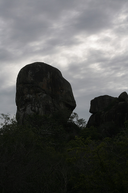 Yala National Park scenery