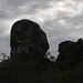 Yala National Park scenery