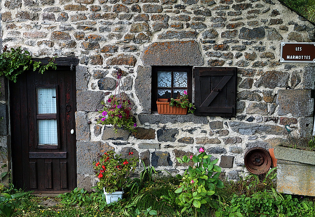 Les marmottes ne sont pas toutes logées à la même enseigne . Il y a celles de la France d'en haut et celles qui mettent le chocolat dans le papier alu ...