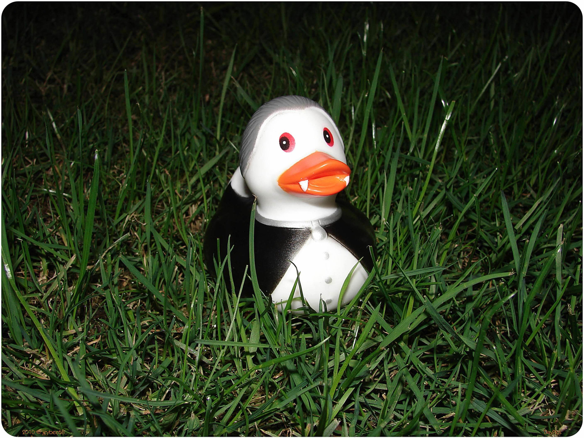 Dracula Duck