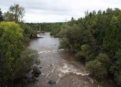 the river/la rivière