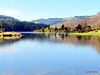 Lake Whakamaru