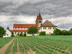 Gemüseanbau auf der Insel Reichenau