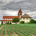 Gemüseanbau auf der Insel Reichenau