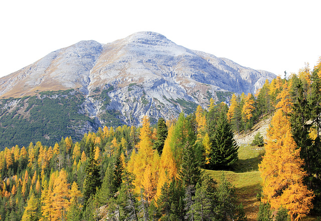 Bergwelt im Herbst