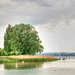 Insel Reichenau, am Gnadensee
