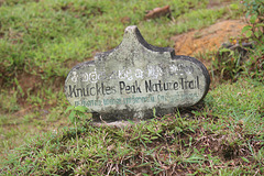 Knuckles Peak Nature Trail
