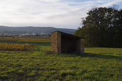 Balade dans les vignes du Beaujolais