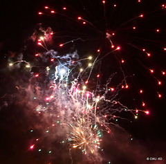 IMG 4513